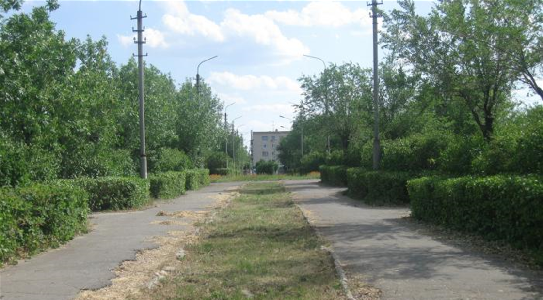 Фото Парка Камышин