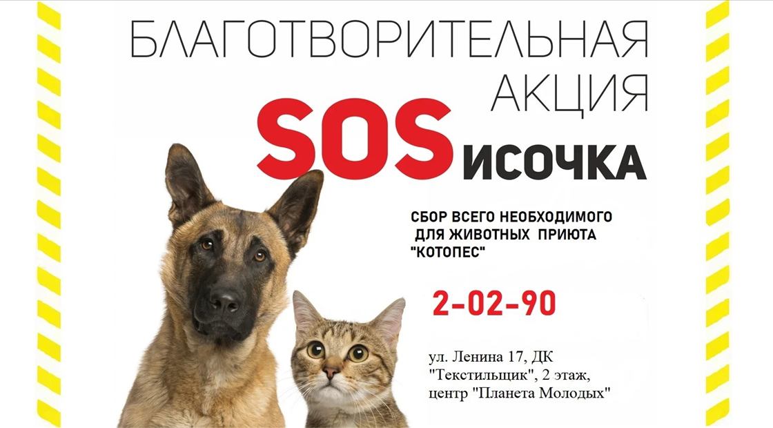 Со 2 по 25 октября в МАОУ СОШ 22 проходит благотворительная акция по сбору кормо